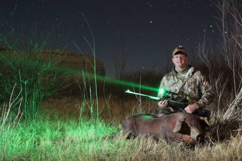Green Predator Hunting Lights
