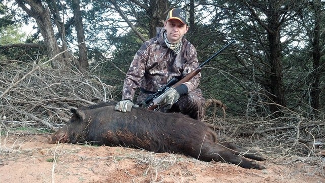 Lights for Hog Hunting