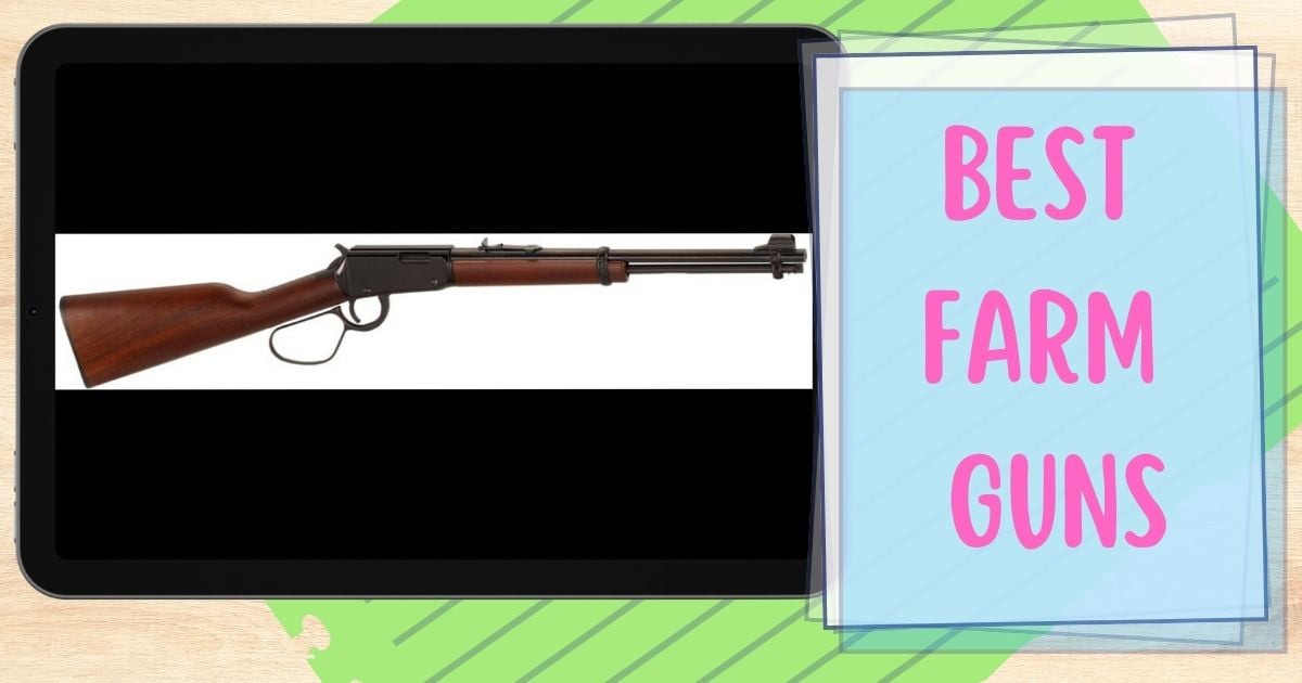 best-farm-guns