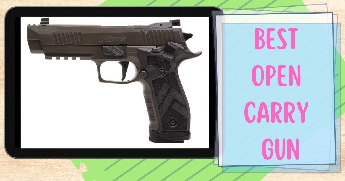 best-open-carry-gun